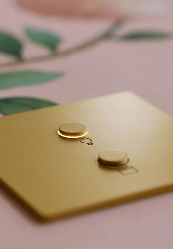 Fancy gold colored light switch